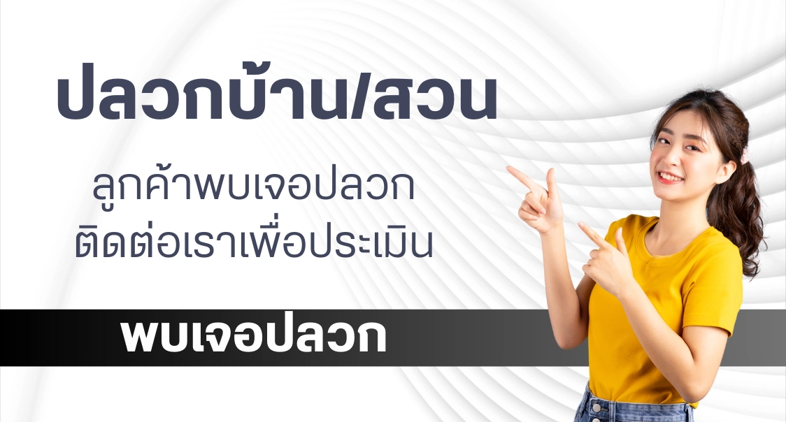 Banner_Mainwebsite_1