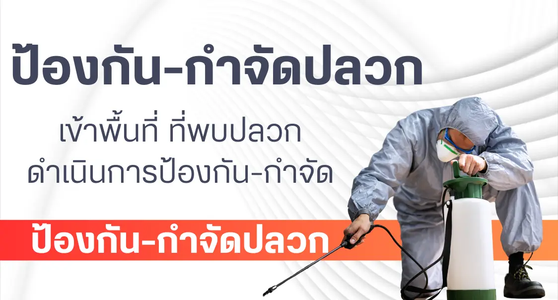 Banner_Mainwebsite_3