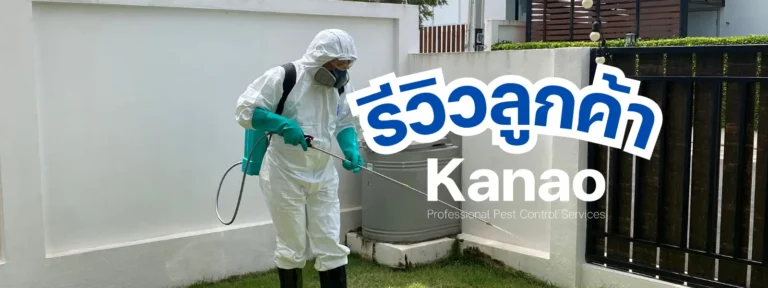 Kanao คานาโอะ customer reviews breeze1 cover