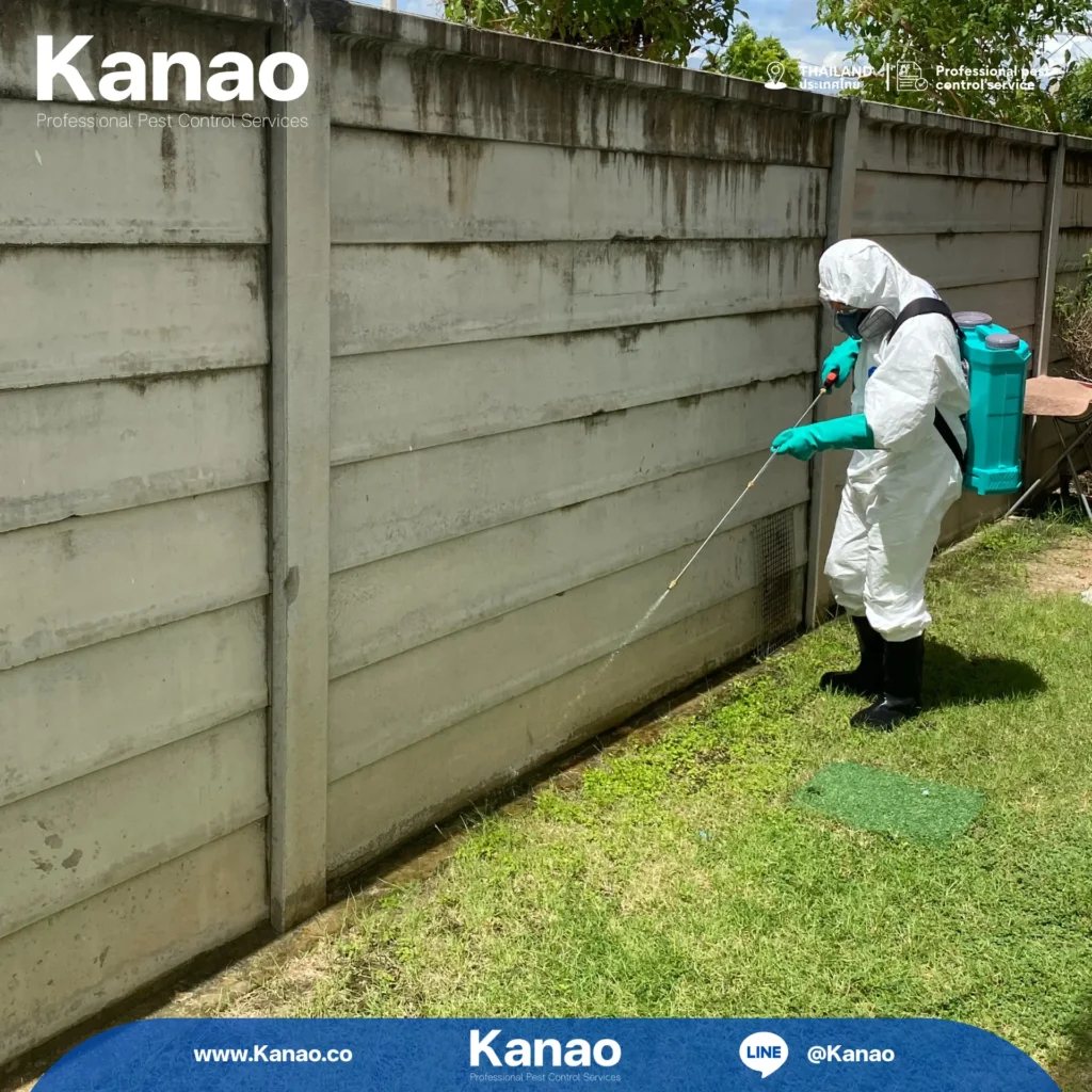 Kanao คานาโอะ Customer Reviews Breeze2 4