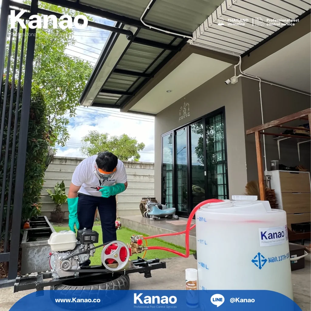 Kanao คานาโอะ Customer Reviews Breeze2 6