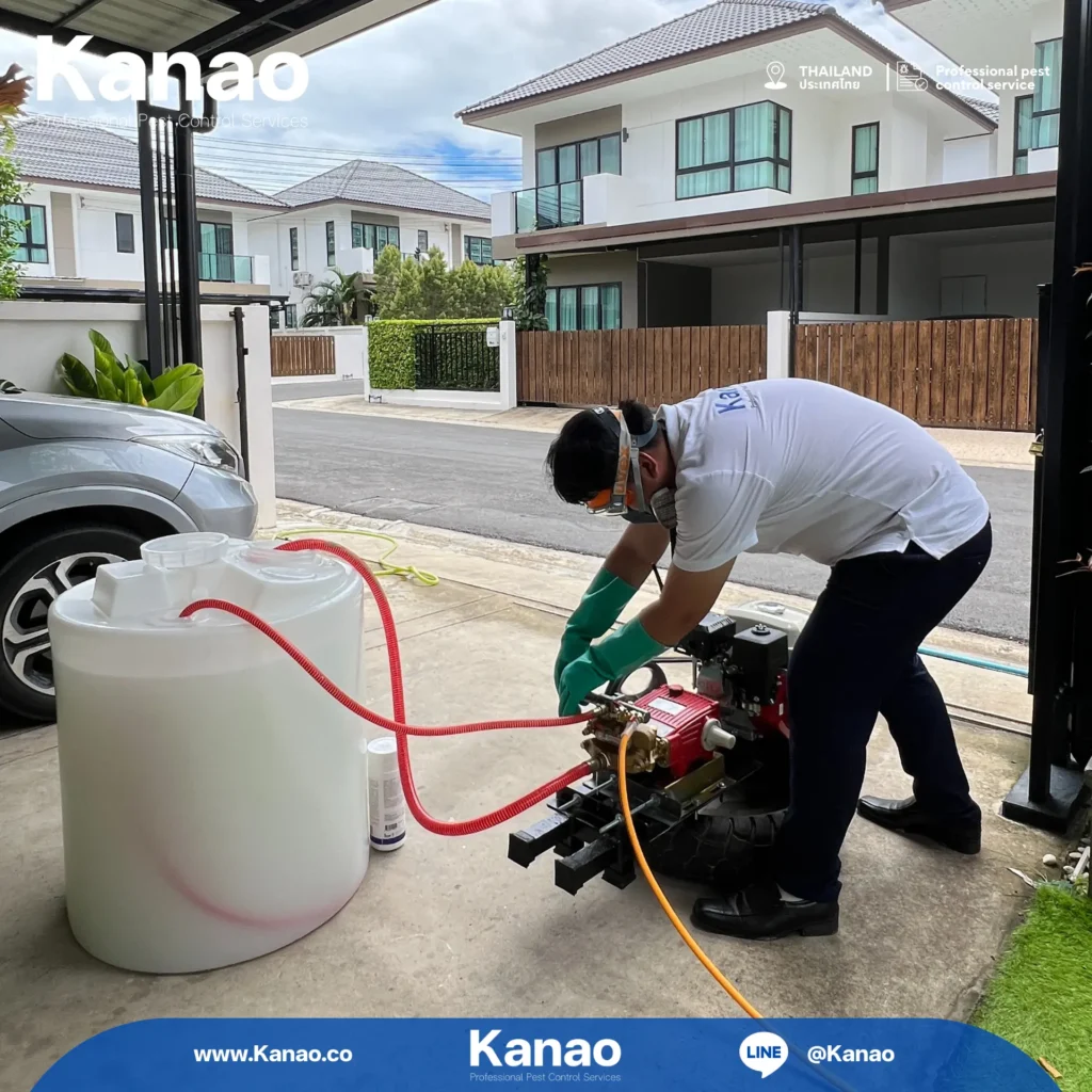 Kanao คานาโอะ Customer Reviews Breeze2 7