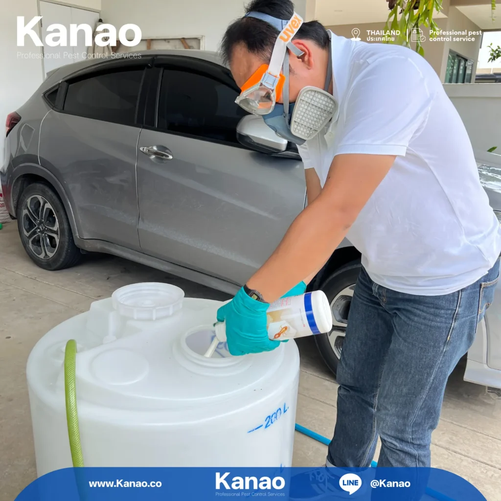 Kanao คานาโอะ Customer Reviews Breeze2 8