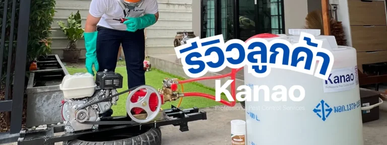 Kanao คานาโอะ Customer Reviews Breeze2 9