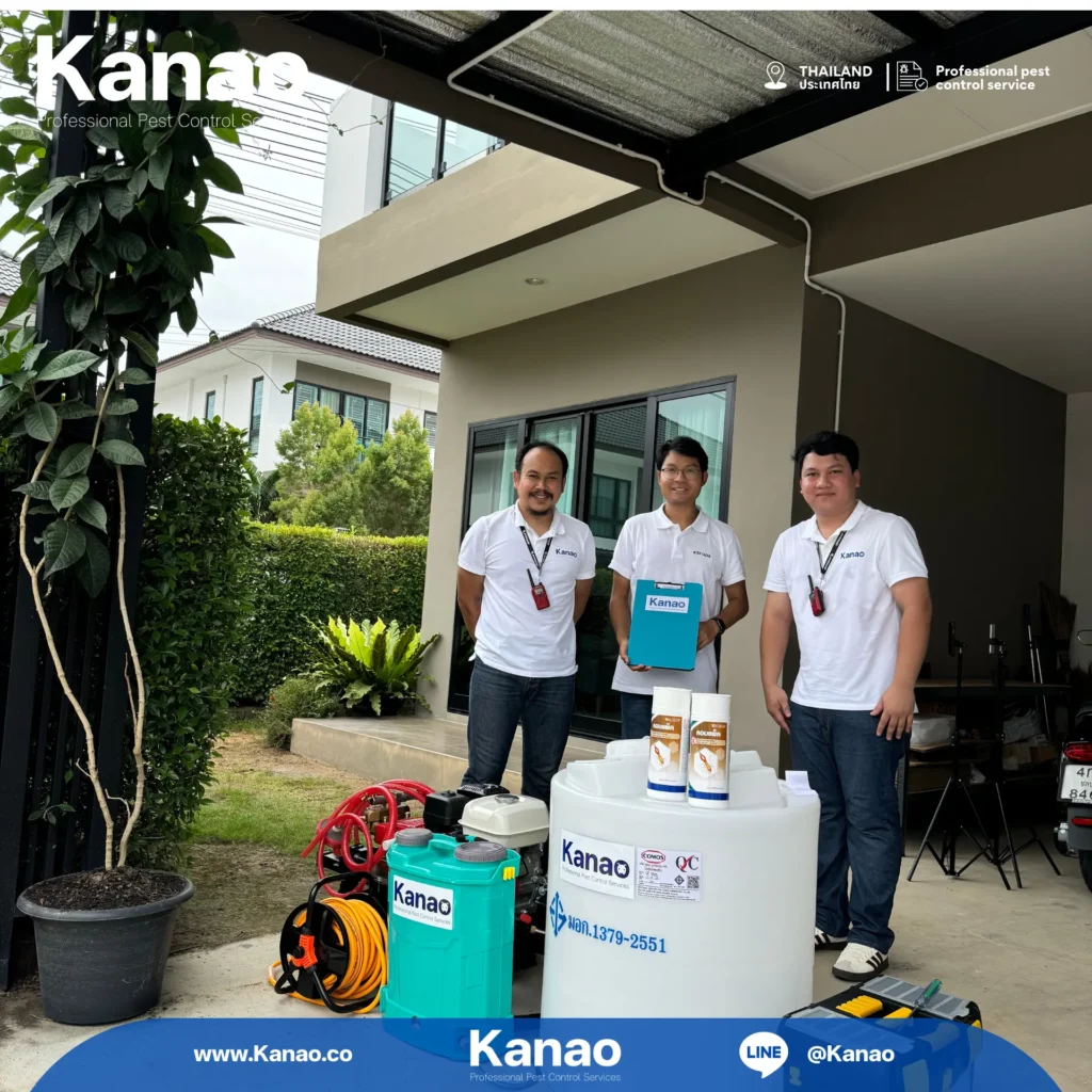 Kanao คานาโอะ Customer Reviews Breeze3 1