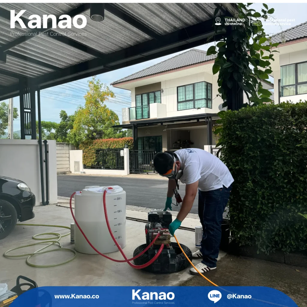 Kanao คานาโอะ Customer Reviews Breeze3 2