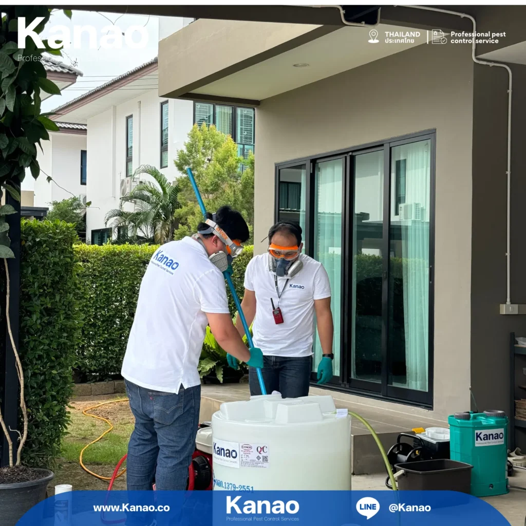 Kanao คานาโอะ Customer Reviews Breeze3 3