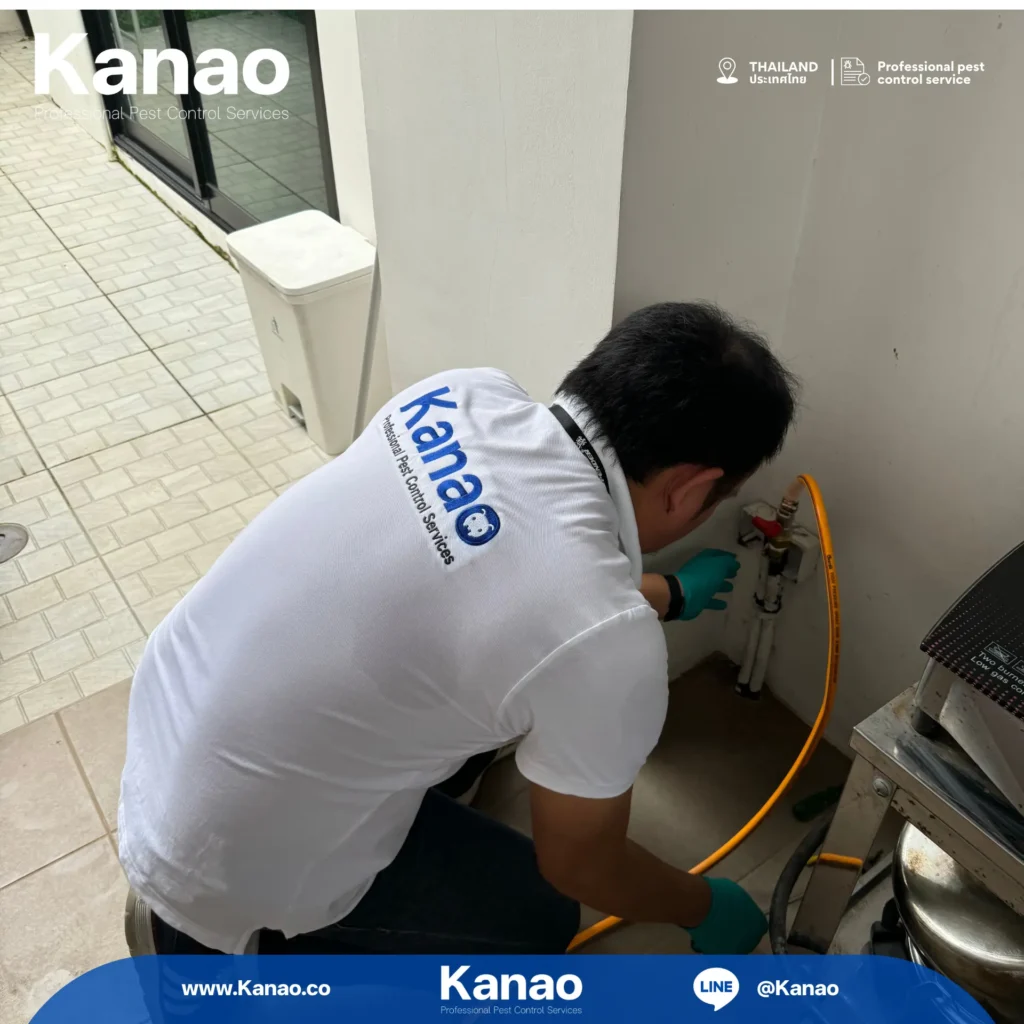 Kanao คานาโอะ Customer Reviews Breeze3 4