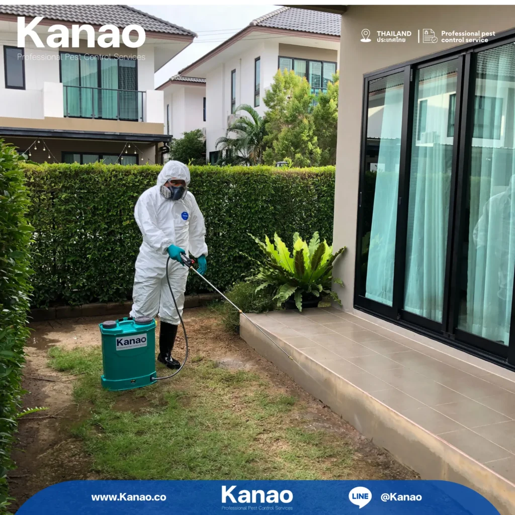 Kanao คานาโอะ Customer Reviews Breeze3 6