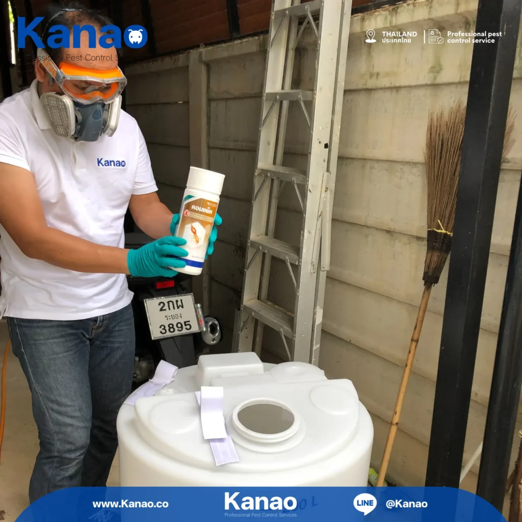 Kanao คานาโอะ Customer Reviews Breeze4 3