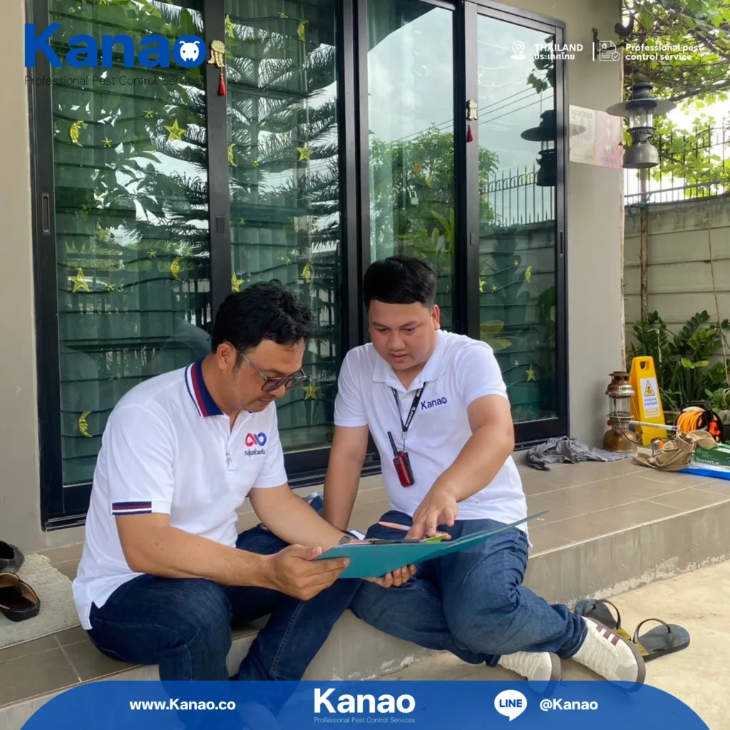 Kanao คานาโอะ Customer Reviews Breeze4 6