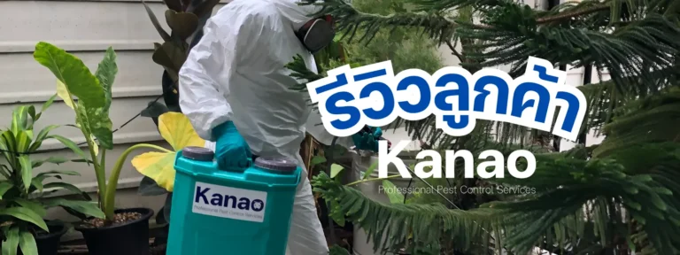 Kanao คานาโอะ Customer Reviews Breeze4 9