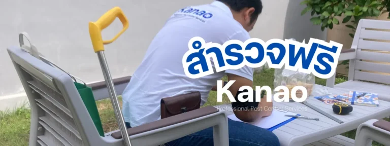 Kanao สำรวจฟรี4