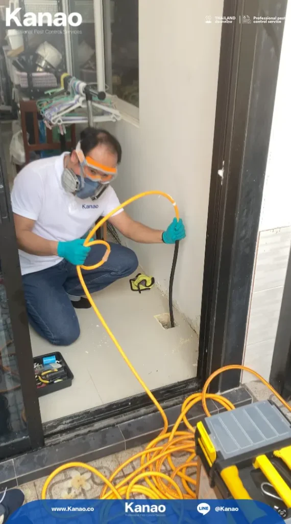 Kanao คานาโอะ Customer Reviews Baanpruksa Nara1 3