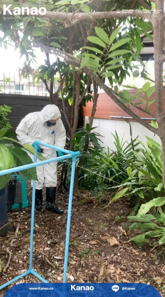 Kanao คานาโอะ Customer Reviews Baanpruksa Nara1 6