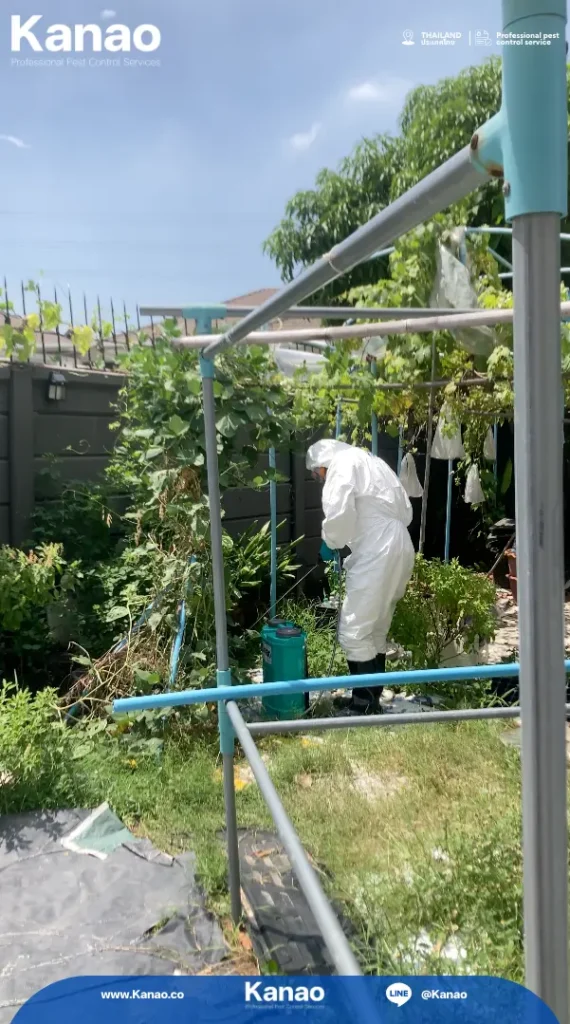 Kanao คานาโอะ Customer Reviews Baanpruksa Nara1 7