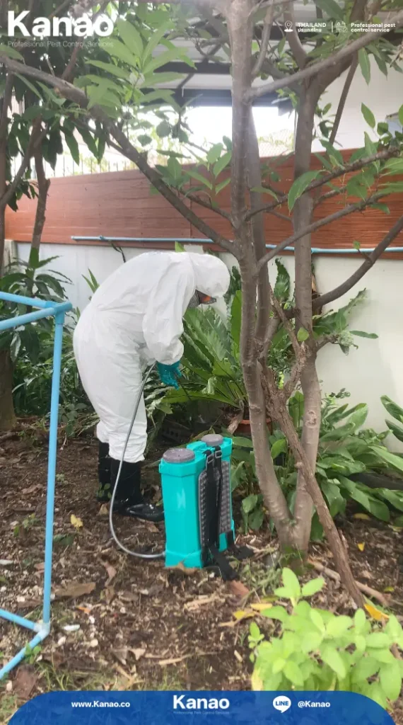 Kanao คานาโอะ Customer Reviews Baanpruksa Nara1 8