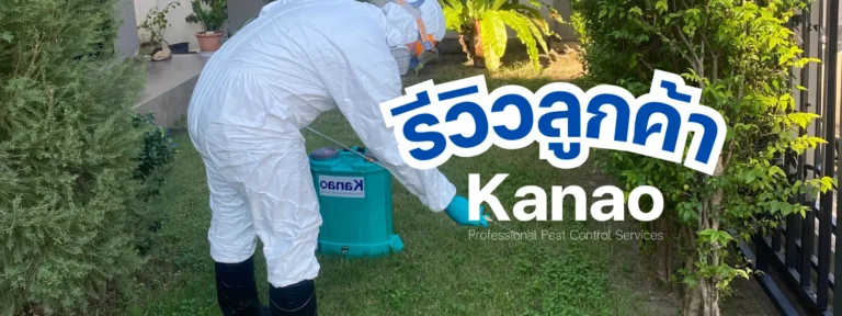 Kanao คานาโอะ Customer Reviews Breeze4 1