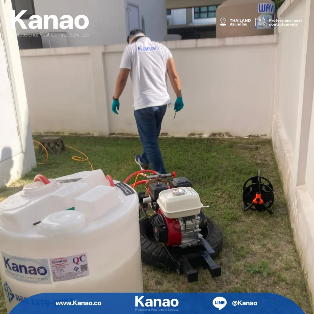 Kanao คานาโอะ Customer Reviews Breeze4 2