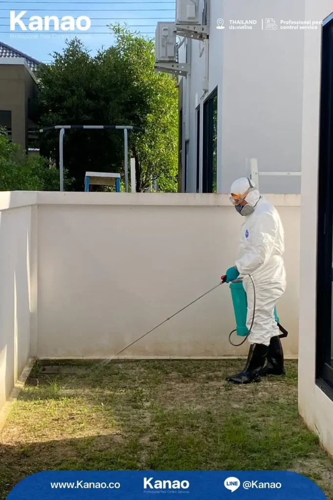 Kanao คานาโอะ Customer Reviews Breeze4 3