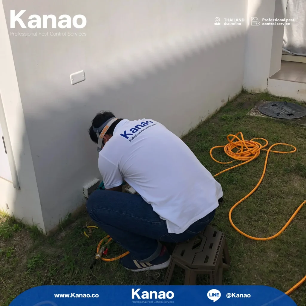 Kanao คานาโอะ Customer Reviews Breeze4 6