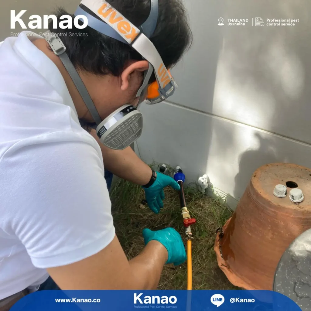 Kanao คานาโอะ Customer Reviews Velana Golf House Rayong1 1